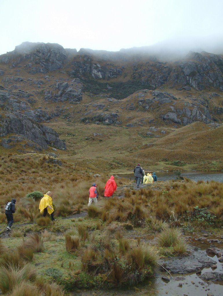 02-Our hike through the very wet and cold Parque Nacional Cajas.jpg - Our hike through the very wet and cold Parque Nacional Cajas (2)